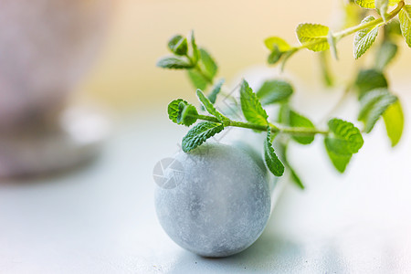 厨房里有薄荷花图片