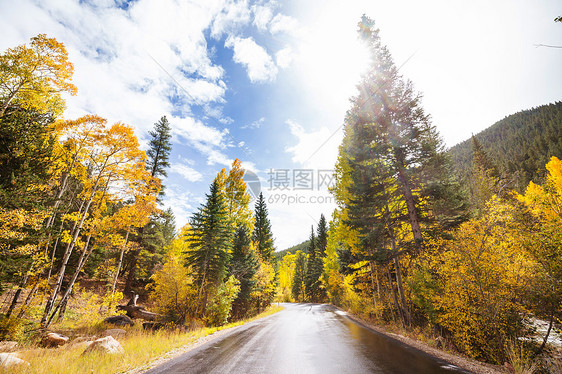 森林里乡间道路上五彩缤纷的秋天景象图片