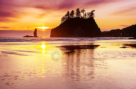 风景优美,严谨的太平洋海岸奥林匹克公园,华盛顿,美国海洋中的岩石海滩上的大原木图片
