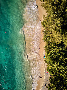 美丽的海滩与棕榈树空中俯视无人机拍摄塞舌尔,马埃图片