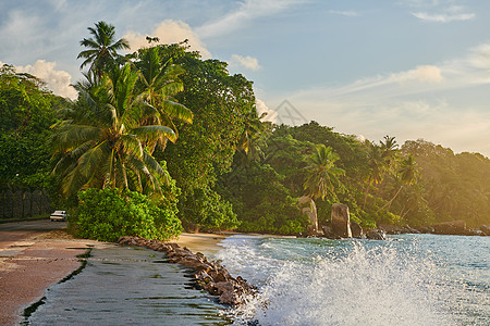 美丽的海滩,棕榈树岩石景观塞舌尔,马埃图片