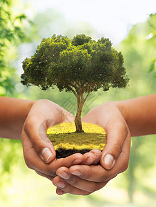 生态自然环境绿色的自然背景下,双手紧握树木双手紧握着树图片