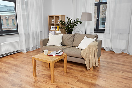 舒适,家具室内沙发与垫子,咖啡书桌子上舒适的家庭客厅沙发,咖啡书舒适的家里图片