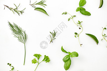 烹饪,调味料有机同的绿色,香料或草药白色背景白色背景上的绿色香料或草药图片