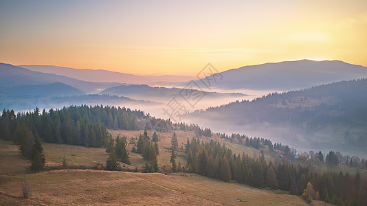 美丽的秋山全景早上雾蒙蒙的林地日出山间雾谷上雾中山上的树乌克兰喀尔巴阡山脉图片