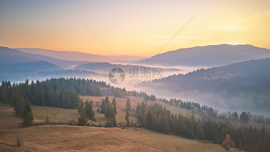 美丽的秋山全景早上雾蒙蒙的林地日出山间雾谷上雾中山上的树乌克兰喀尔巴阡山脉图片