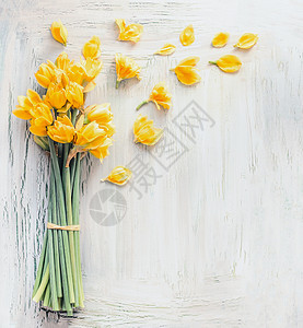 水仙花与黄色花瓣成束春天的背景图片