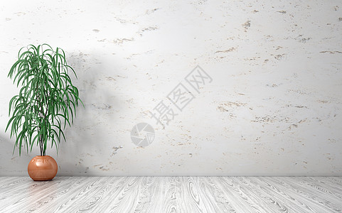 空的内部背景,房间与大理石墙,花瓶与植物白色木地板上三维渲染背景图片