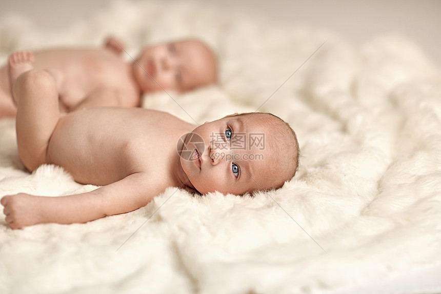 两个阿多贝尔兄弟躺柔软的白色毯子上