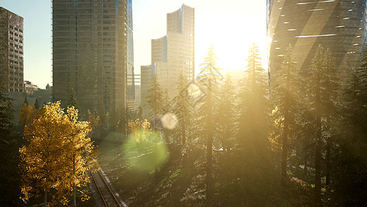 日出时的摩天大楼森林公园图片