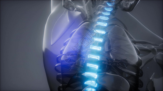 脊骨背痛人体脊柱骨骼发光的科学解剖扫描背部骨头背痛图片