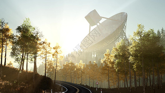 日落时森林里的天文台射电望远镜图片