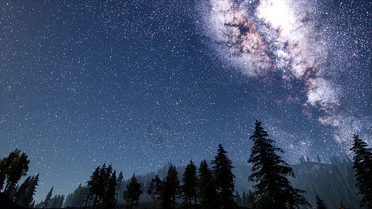 银河星,月光松树森林之上图片