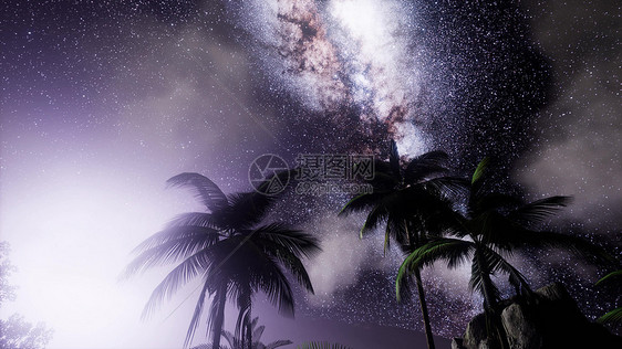 热带雨林上空银河系的天体热带雨林上空的银河系图片