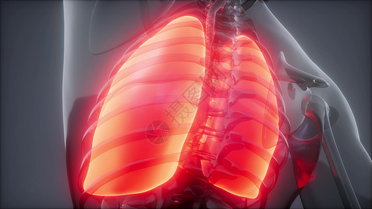 人体肺发光的科学解剖扫描人类肺部放射学检查图片
