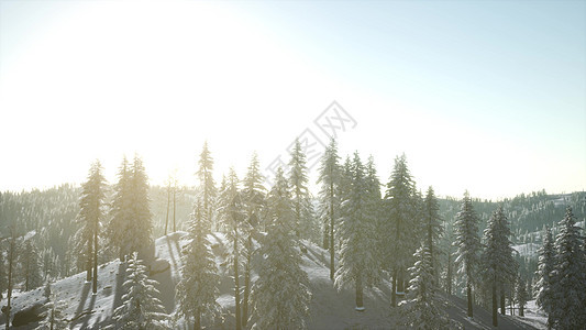 风景优美的山景冬天阳光明媚的日子里,雾低处冬天阳光明媚的日子里的山景图片