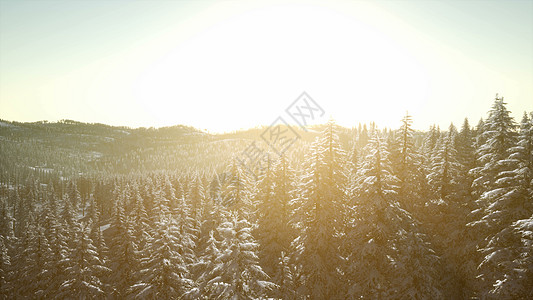 霍尔滑雪跳转傍晚日落高清图片