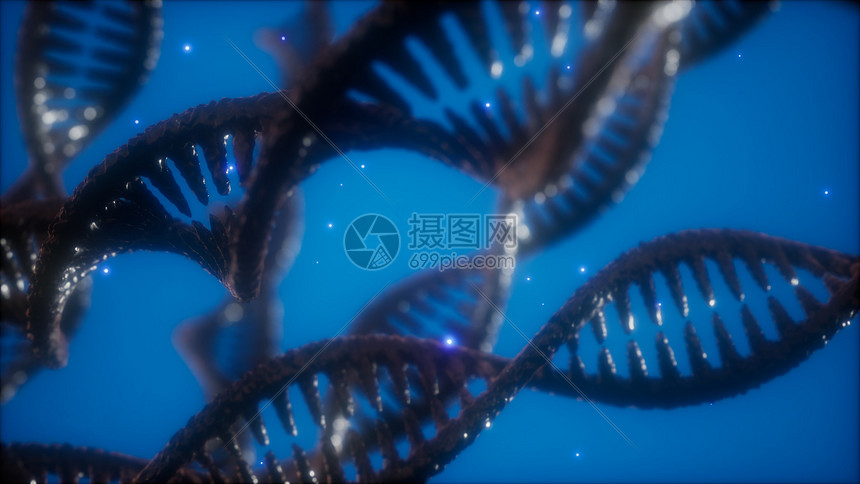 结构的DNA双螺旋动画,DNA分子生物逻辑片段的DNA双螺旋动画的结构图片