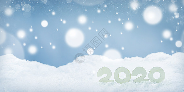 2020年新年理念木制2020年新年水平模板上的雪白色博克背狗2020年新的年图片