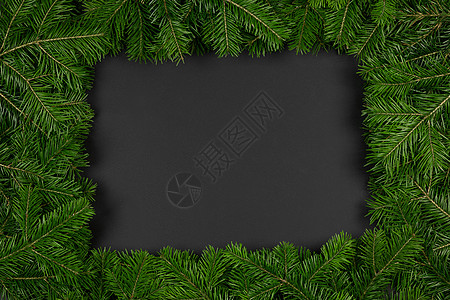 松树圣诞树树枝黑纸背景上平放顶部视图模型黑纸上的松枝图片