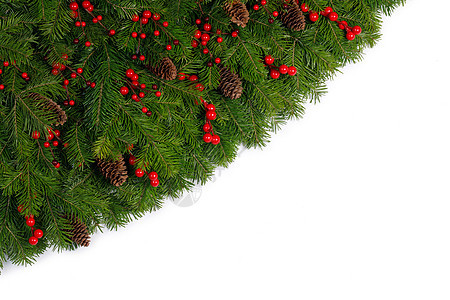 圣诞边框的树枝,红色浆果松果白色背景与隔离圣诞树树枝的圣诞框架图片