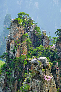 张家界的山湖南张家界石柱崖山地貌景观背景