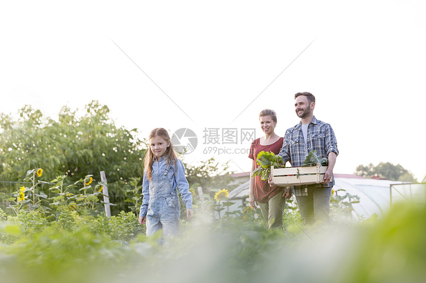 微笑的父母抱着蔬菜板条箱,而与女儿农场散步图片