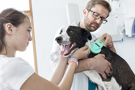 当医生兽医诊所用狗上的设备时,女孩看图片