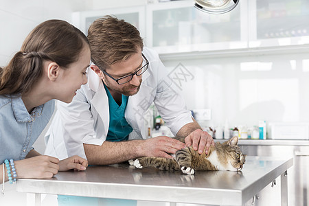 医生兽医诊所按女孩桌子上检查猫图片