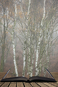 美丽的充满活力的秋季景观雾峰区英国神奇的故事书页中出来图片