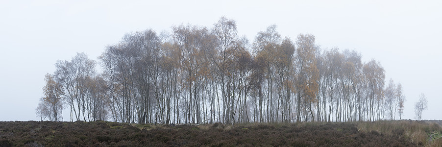 美丽充满活力的秋季全景景观雾峰区英国图片