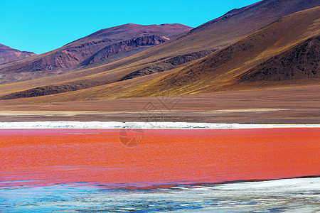 南美洲的超现实景观玻利维亚高原高原高原上五颜六色的拉古纳色拉达图片