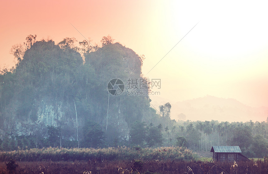 泰国北部的乡村景观图片