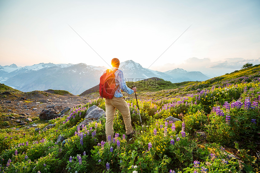 加大山区徒步旅行的人徒步旅行北美最受欢迎的娱乐活动有很多风景如画的小径图片