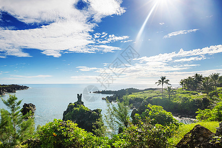 夏威夷毛伊岛上美丽的热带景观图片