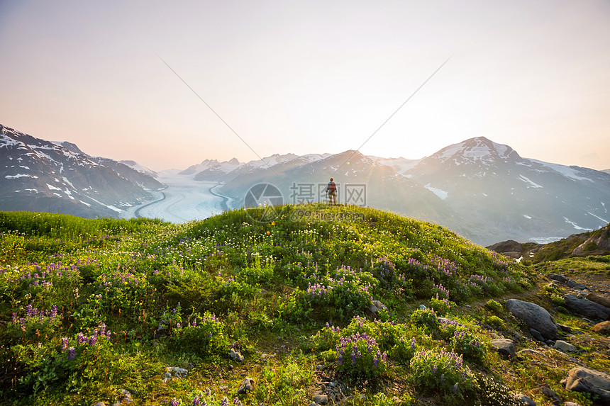 加大山区徒步旅行的人徒步旅行北美最受欢迎的娱乐活动有很多风景如画的小径图片