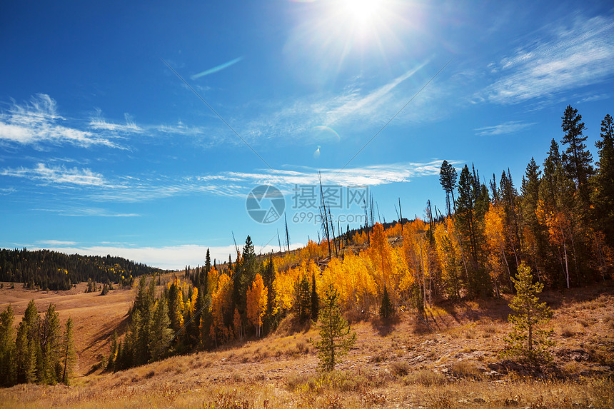 美国科罗拉多州五颜六色的秋天图片