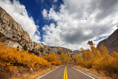 森林里乡间道路上五彩缤纷的秋天景象图片