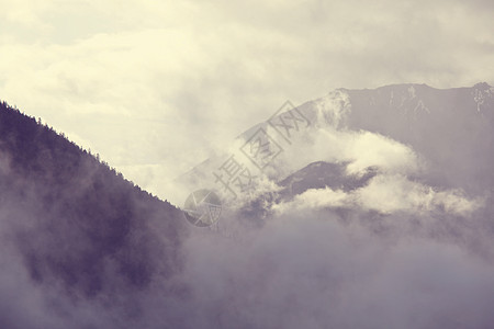 高山上的雾美丽的自然景观图片