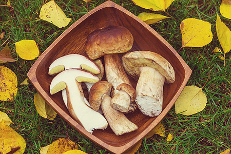 秋天的蘑菇秋季厨房里的食用菌背景