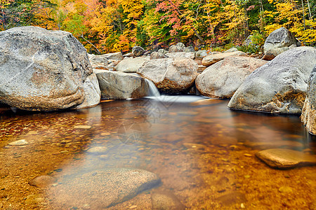 斯威夫特河瀑布秋天的白山森林,新罕布什尔州,美国落新英格兰图片