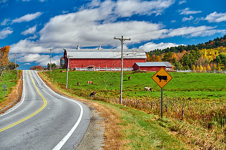 美国新罕布什尔州阳光明媚的秋天,公路红色谷仓图片
