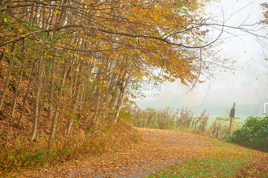 美国佛蒙特州秋季雾日的斯托娱乐活动道路图片