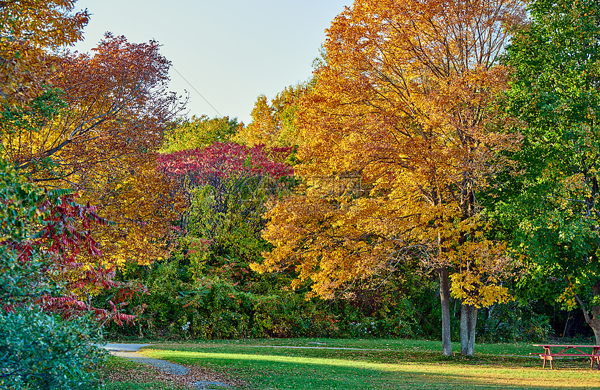 新英格兰某处的秋天景色图片