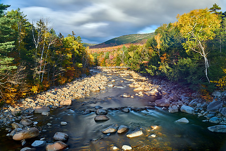 斯威夫特河瀑布秋天的白山森林,新罕布什尔州,美国落新英格兰图片