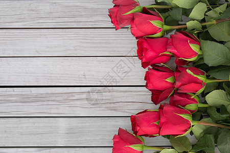 花,情人节假日红色玫瑰白色背景白色背景上红玫瑰图片