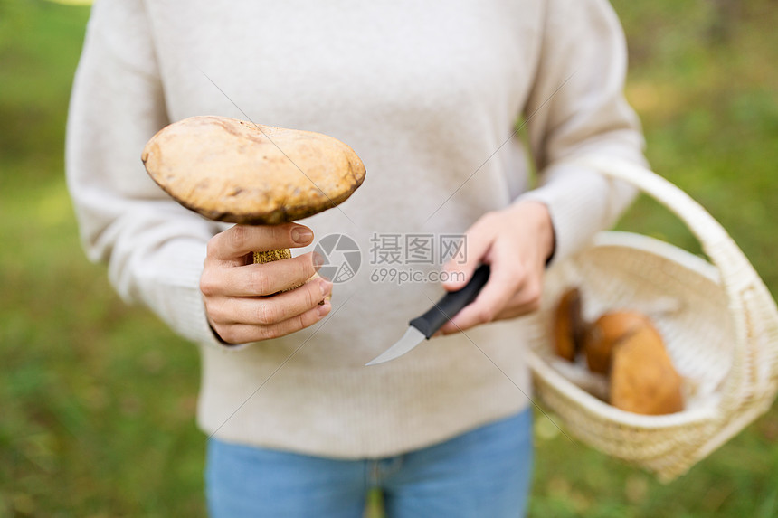 季节,自然休闲的轻的女人带着柳条篮子刀子森林里采蘑菇女人带着篮子森林里采蘑菇图片