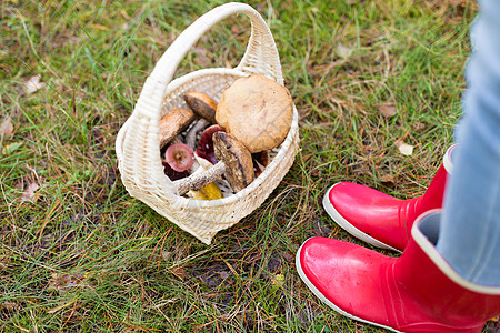 季节,自然休闲的篮子蘑菇脚橡胶靴子森林森林中胶靴里的蘑菇脚篮图片