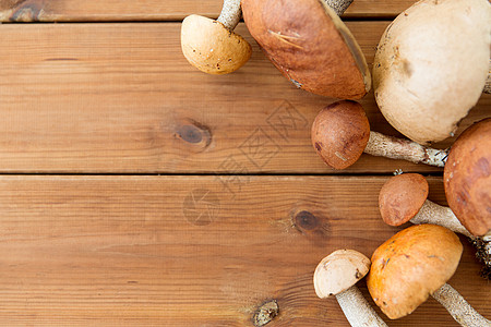自然,环境食用蘑菇的棕色帽橙色帽牛肝菌木制背景木制背景上的棕色帽贝托蘑菇图片