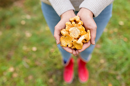 蘑菇女孩季节,自然休闲的亲密的女人手着香菜蘑菇森林里森林里用蘑菇合上女人的手背景
